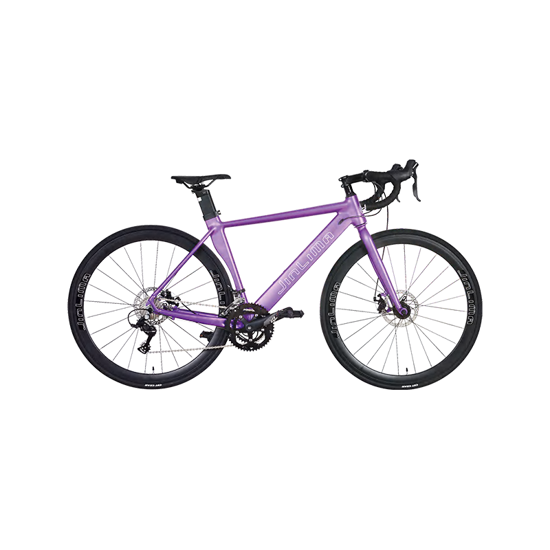 HYB-023 700C Basikal Jalan Aerodinamik Purple 1600C